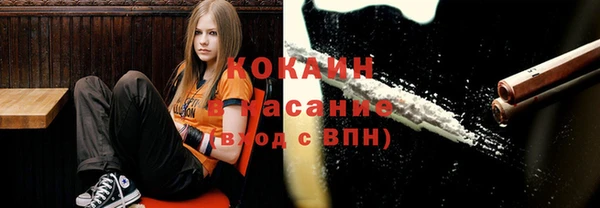 Альфа ПВП Ладушкин