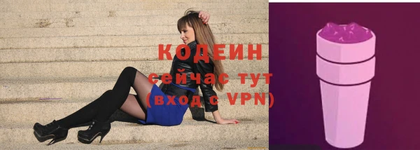 индика Липки