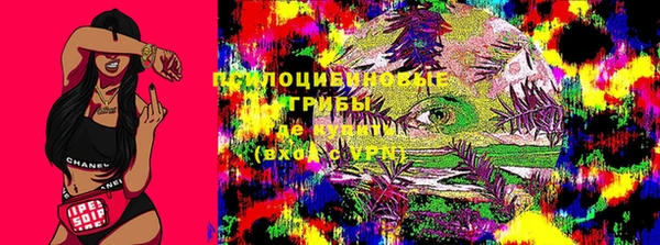 гидропоника Лабытнанги