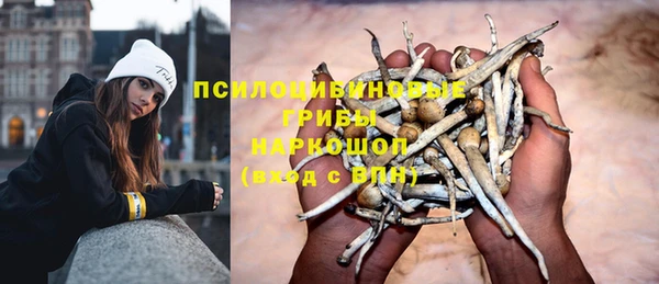 индика Липки